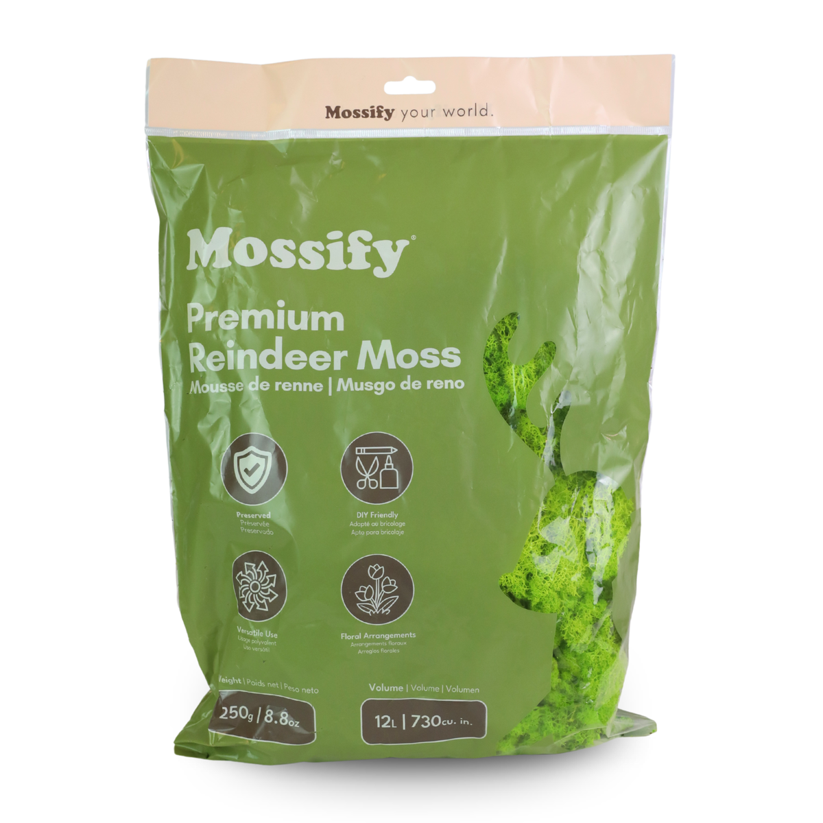 Mossify Premium Reindeer Moss 250 g bag in Lime