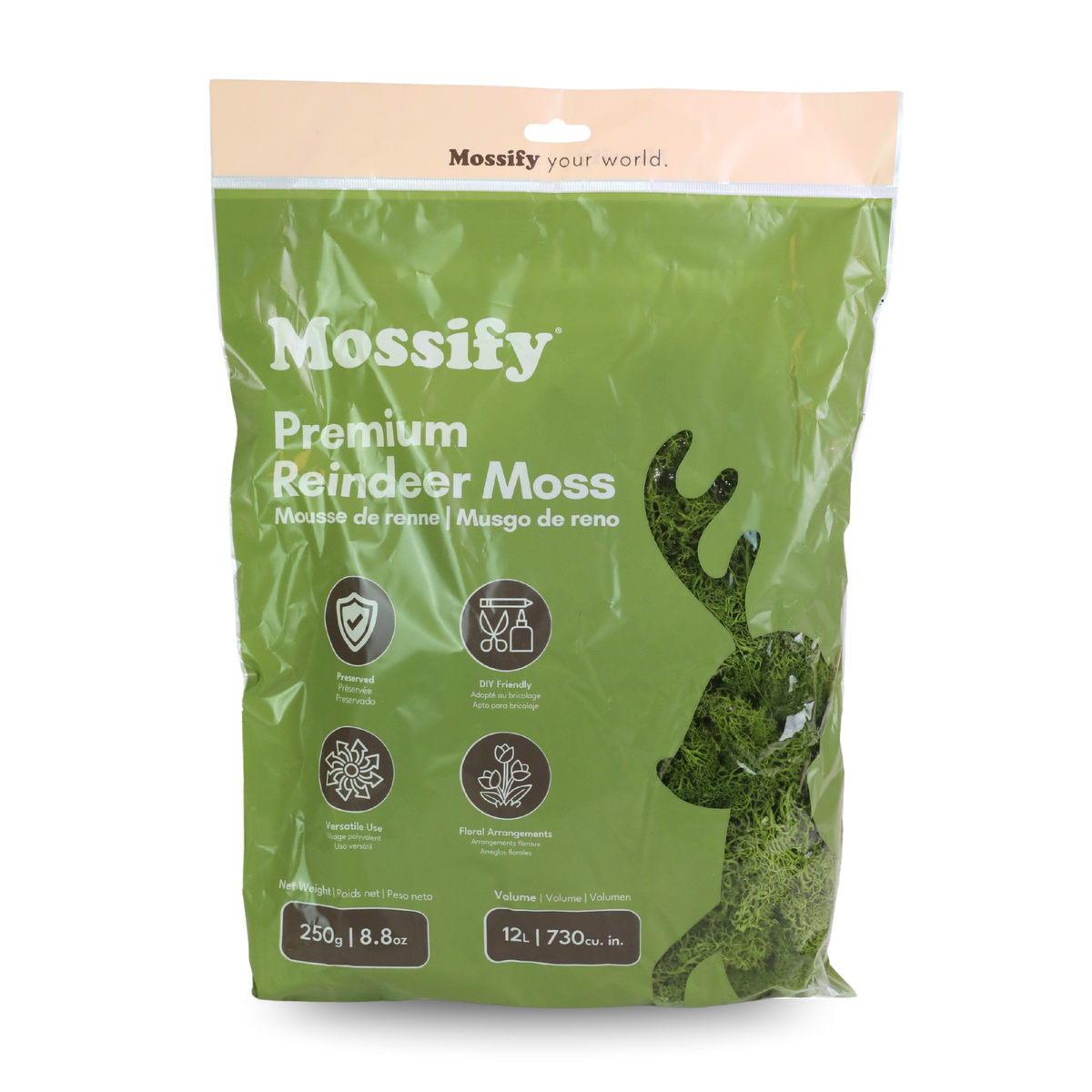 Mossify Premium Reindeer Moss 250 g bag in Pistachio