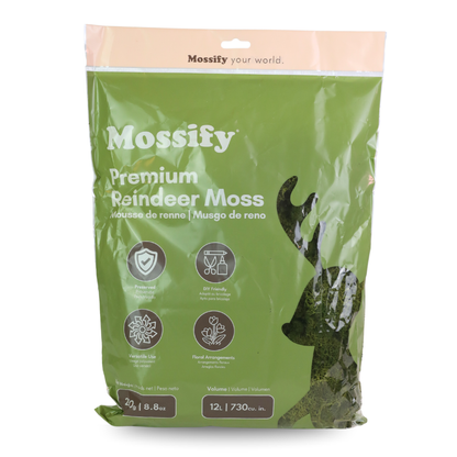 Mossify Premium Reindeer Moss 250 g bag in Shamrock
