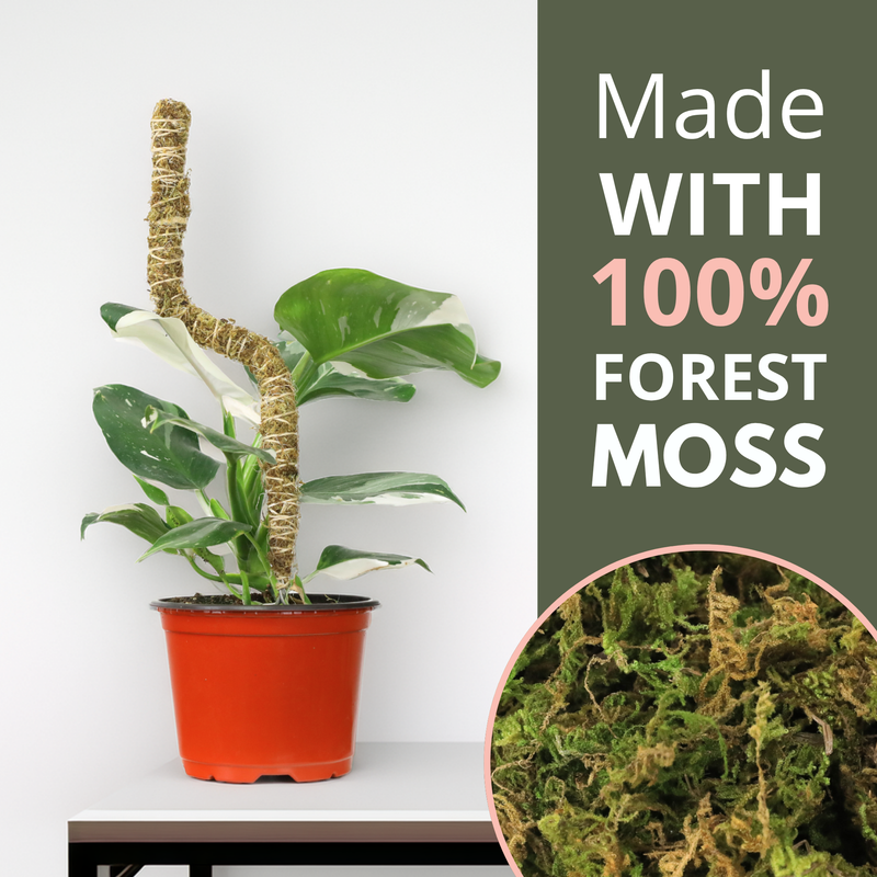 moss pole canada The Bendable Moss Pole™ 𝘛𝘏𝘐𝘕