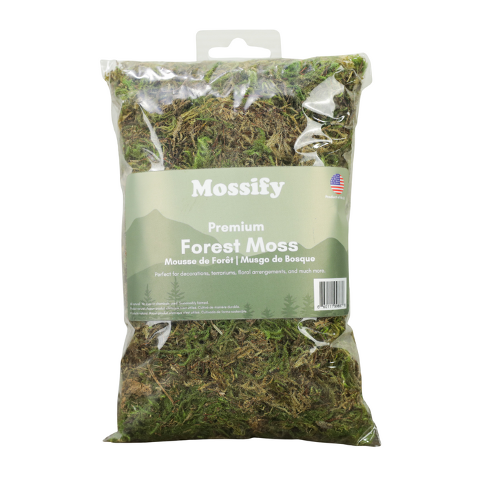 6 Pack - Premium Natural Forest Moss