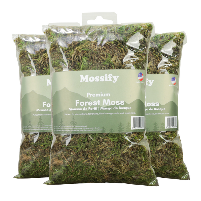 6 Pack - Premium Forest Moss Mix