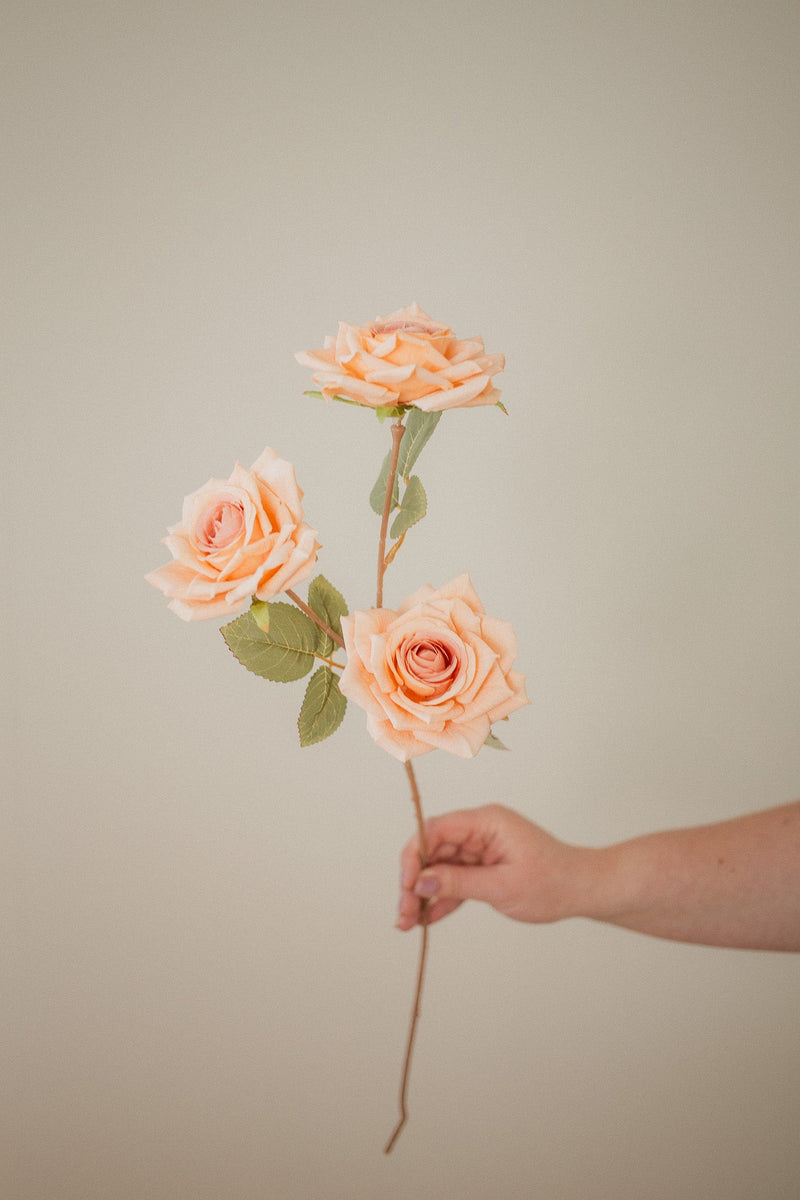 3 Blossom Rose Stem