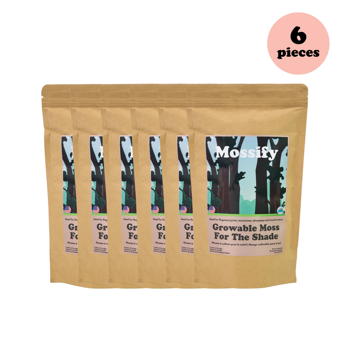 Value Pack - Mousse cultivable pour l'ombre 