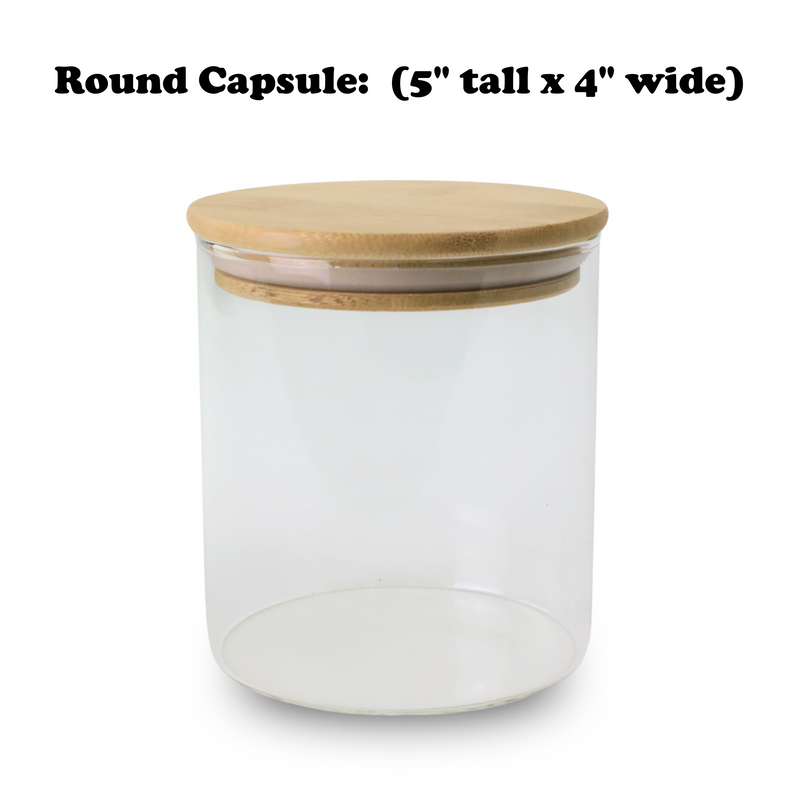 Mossify Terrarium Kit - Mossify