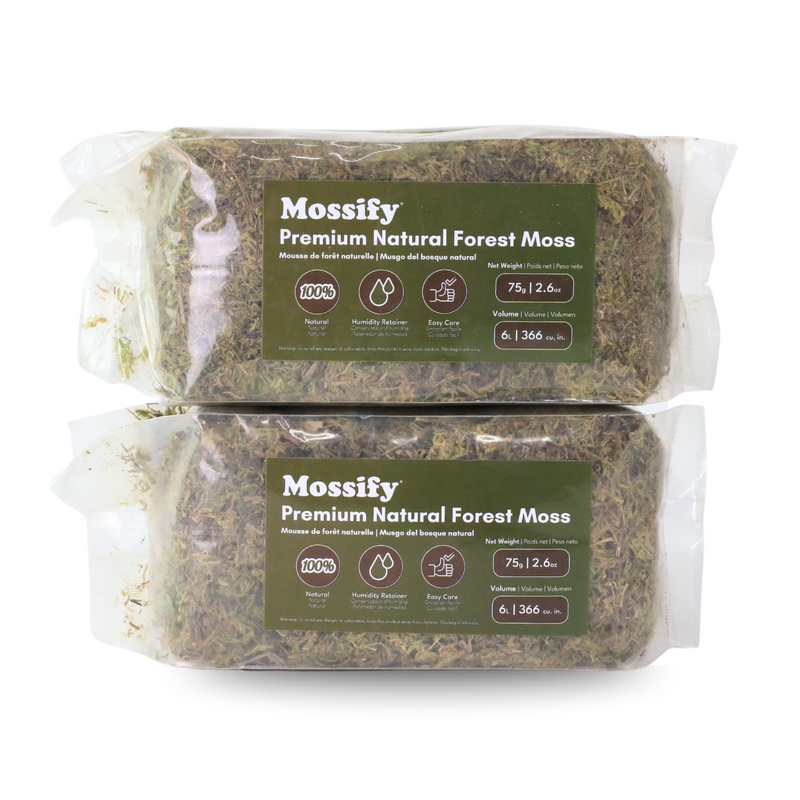 Premium Natural Forest Moss - Mossify