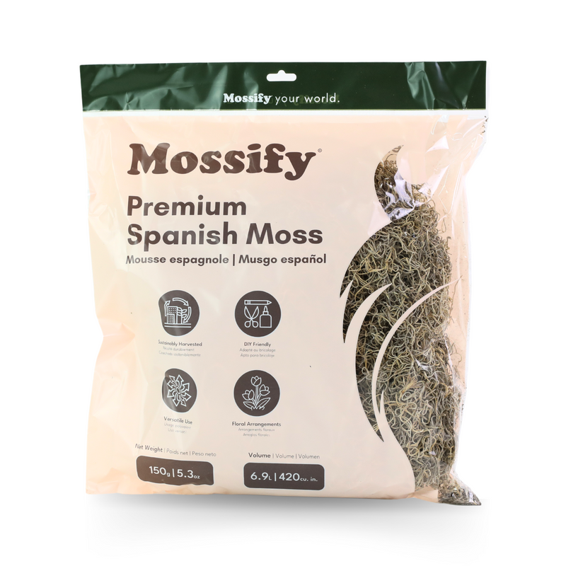 Premium Spanish Moss - Mossify