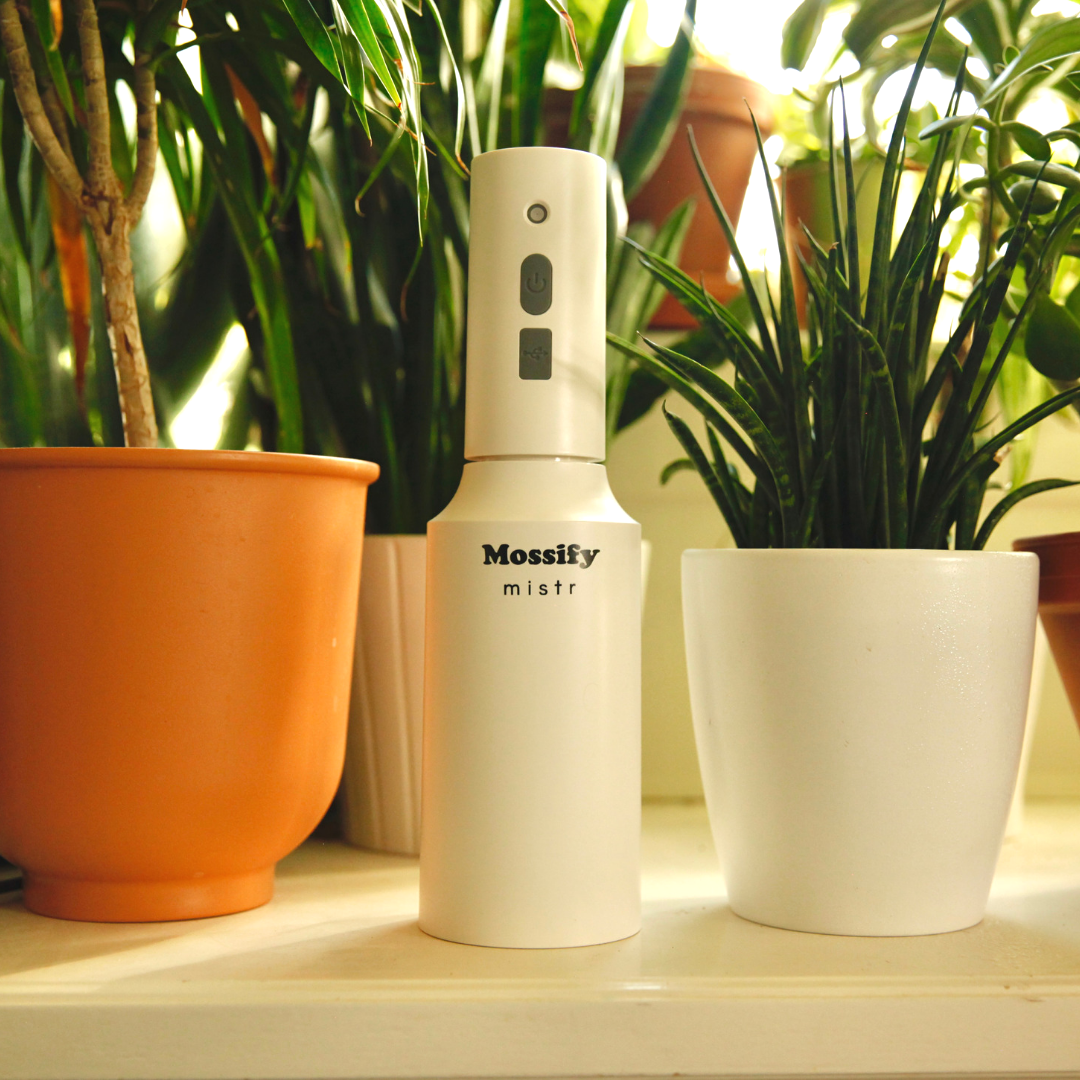 4 Pack Mossify mistr™ - Mossify