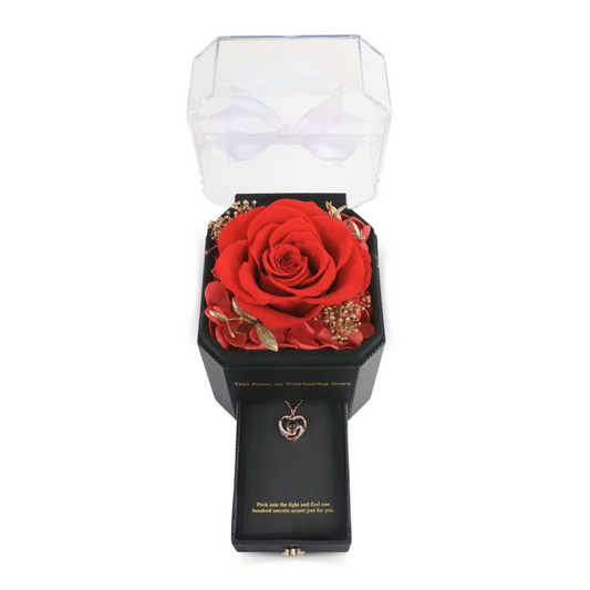 Everlasting Memories Rose - Mossify