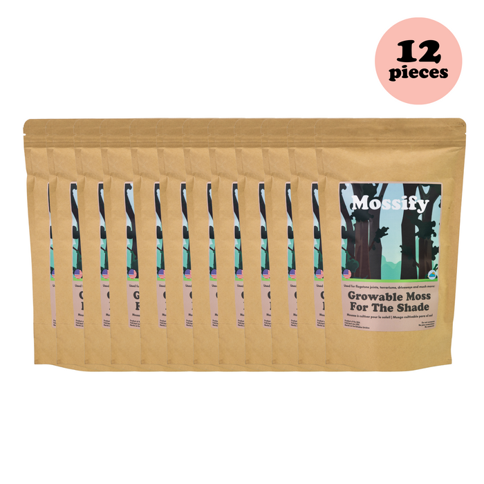 Value Pack - Mousse cultivable pour l'ombre 