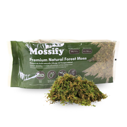 Mossify premium natural forest moss packaging with a sample of moss on a white background
