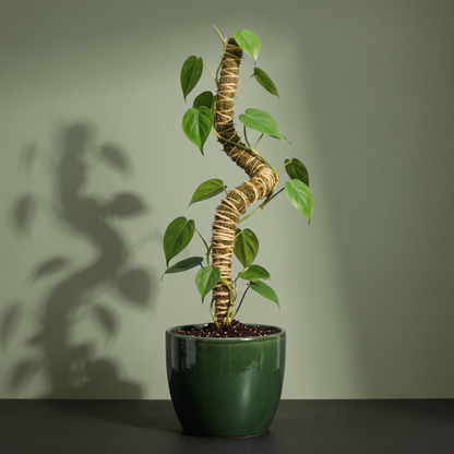 The Bendable Moss Pole™ THIN
