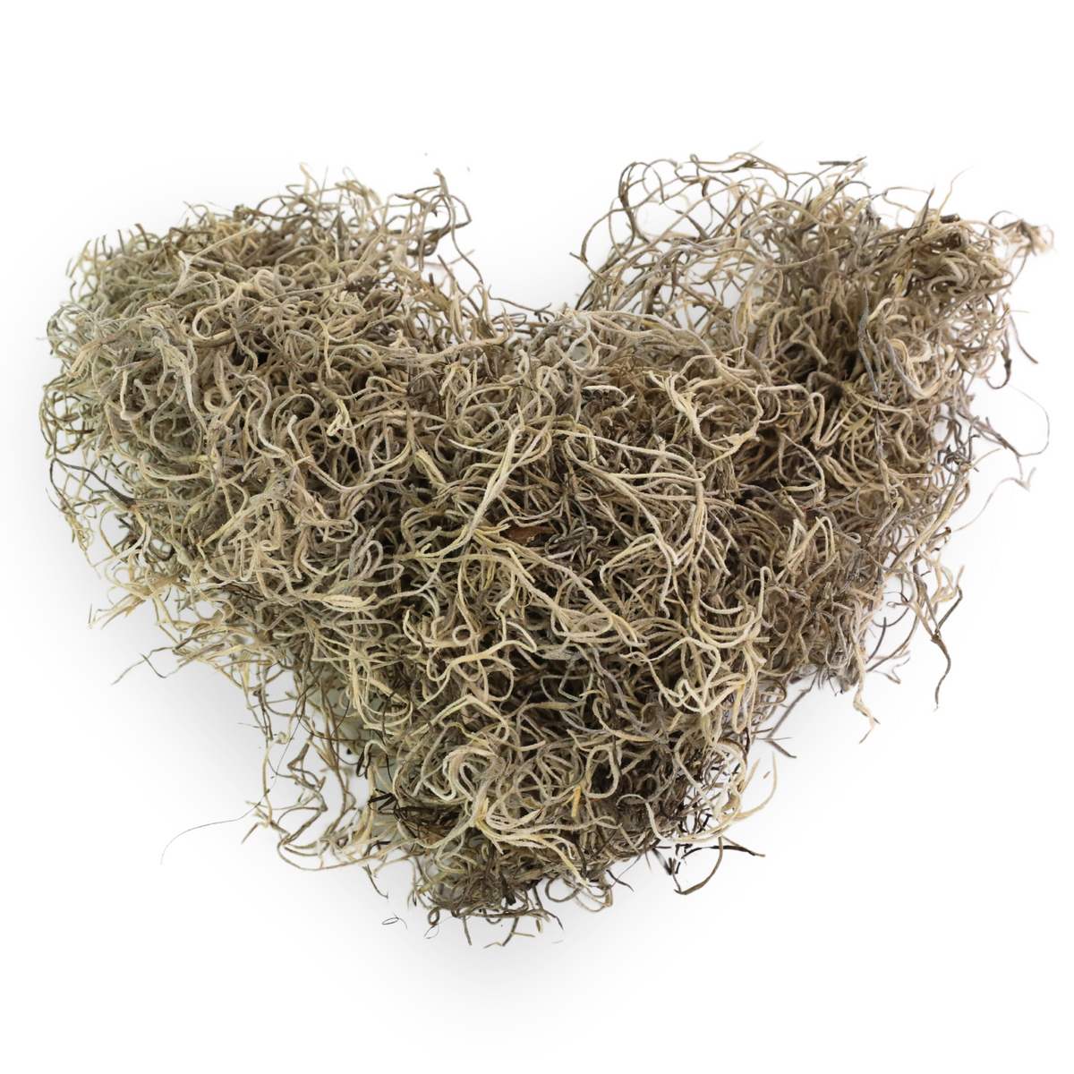 Premium Spanish Moss - Mossify