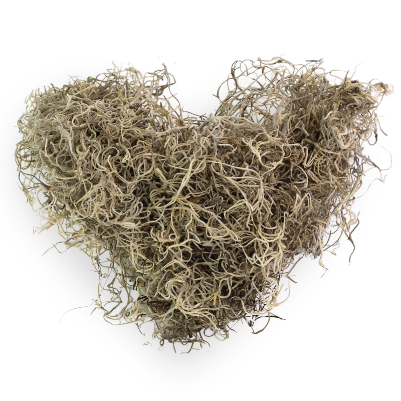 Save up to 0 % Save % Premium Spanish Moss