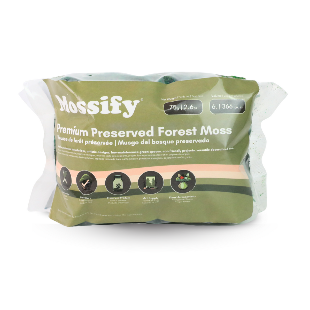 Premium Preserved Forest Moss - Mossify