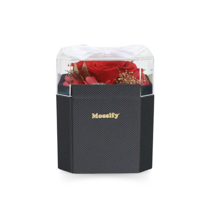 Everlasting Memories Rose - Mossify
