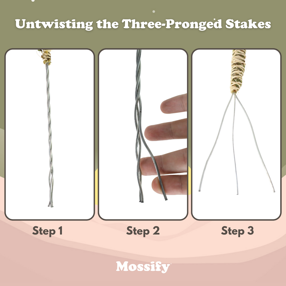 The Bendable Moss Pole™ THIN - Ultimate Starter Pack - Mossify