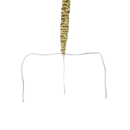 The Bendable Moss Pole™ 𝘛𝘏𝘐𝘕 - Mossify