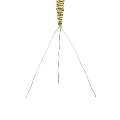 The Bendable Moss Pole™ THIN - Ultimate Starter Pack - Mossify