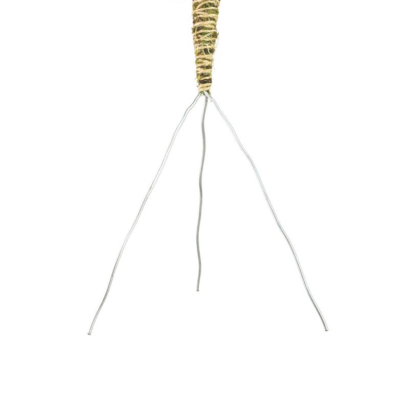 The Bendable Moss Pole™ 𝘛𝘏𝘐𝘕 - Mossify
