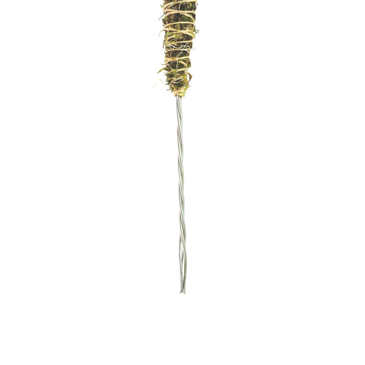 The Bendable Moss Pole™ THIN - Ultimate Starter Pack - Mossify