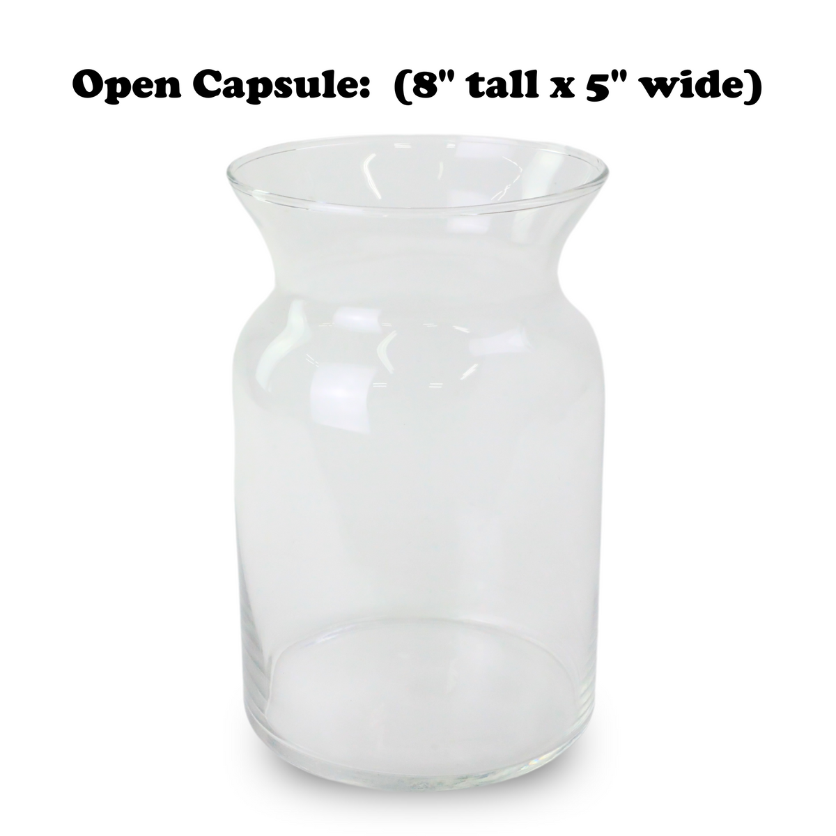 Mossify Terrarium Kit - Mossify