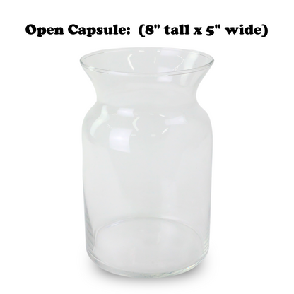 Mossify Terrarium Kit - Mossify