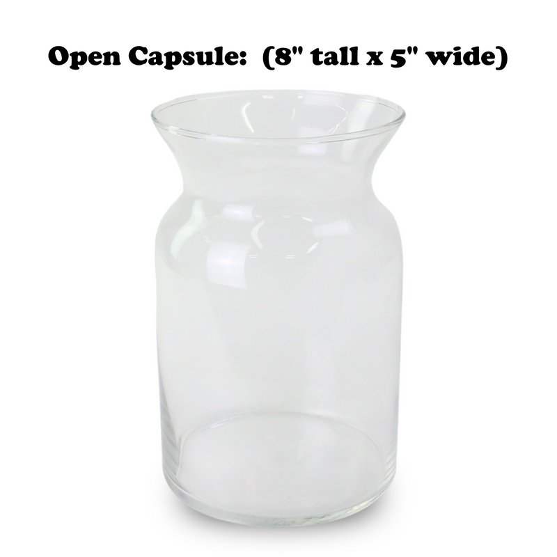 Mossify Terrarium Kit - Mossify