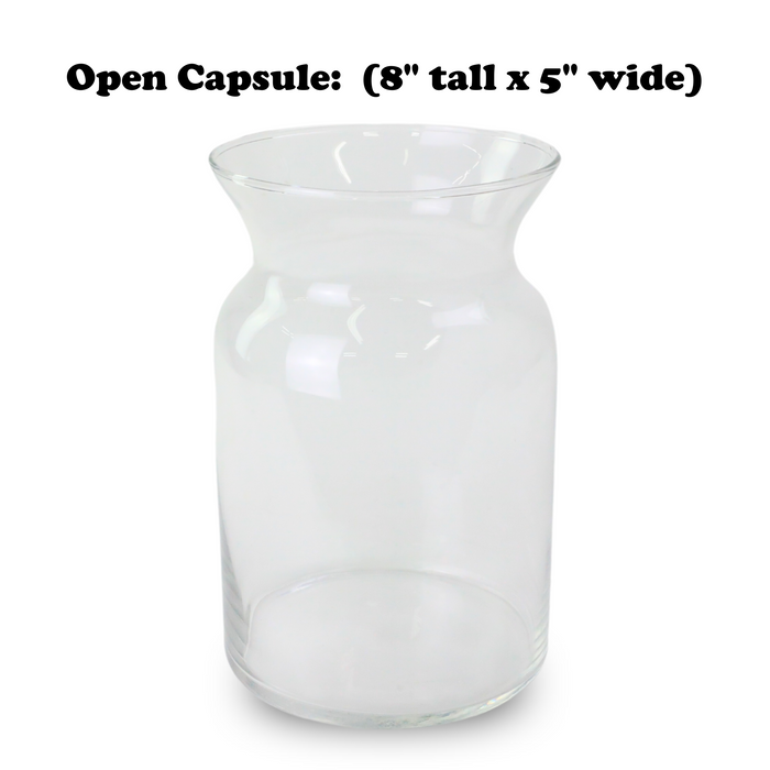Mossify Terrarium Kit