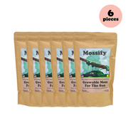 Value Pack - Growable Moss for the Sun - Mossify