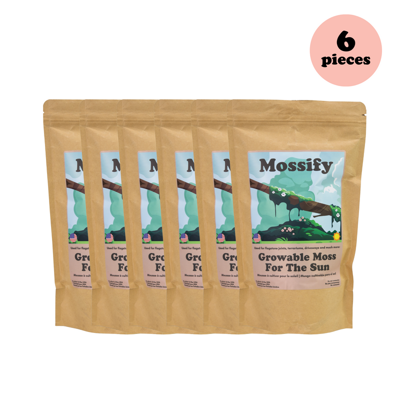 Value Pack - Growable Moss for the Sun - Mossify
