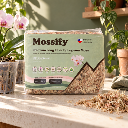 Premium Sphagnum Moss