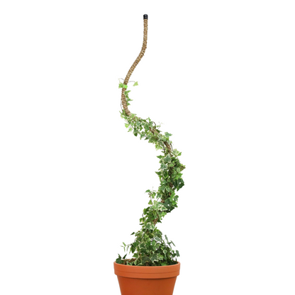 2-Pack 54" Bendable Poles™ - Mossify