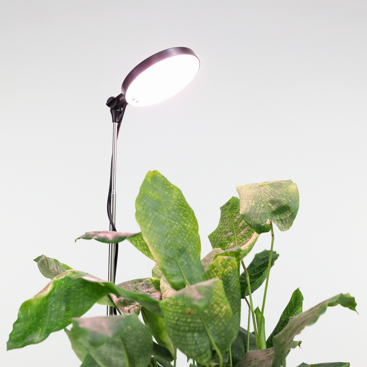 28" Adjustable LED Plant Light - Mossify