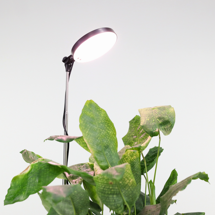 Lampe LED réglable pour plantes. 