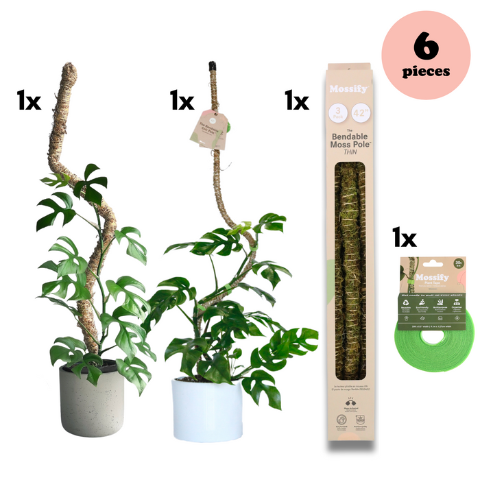 Ultimate Bendable Plant Support Pack