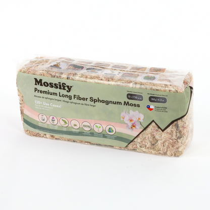 Tropical Plants Care Pack - Mossify