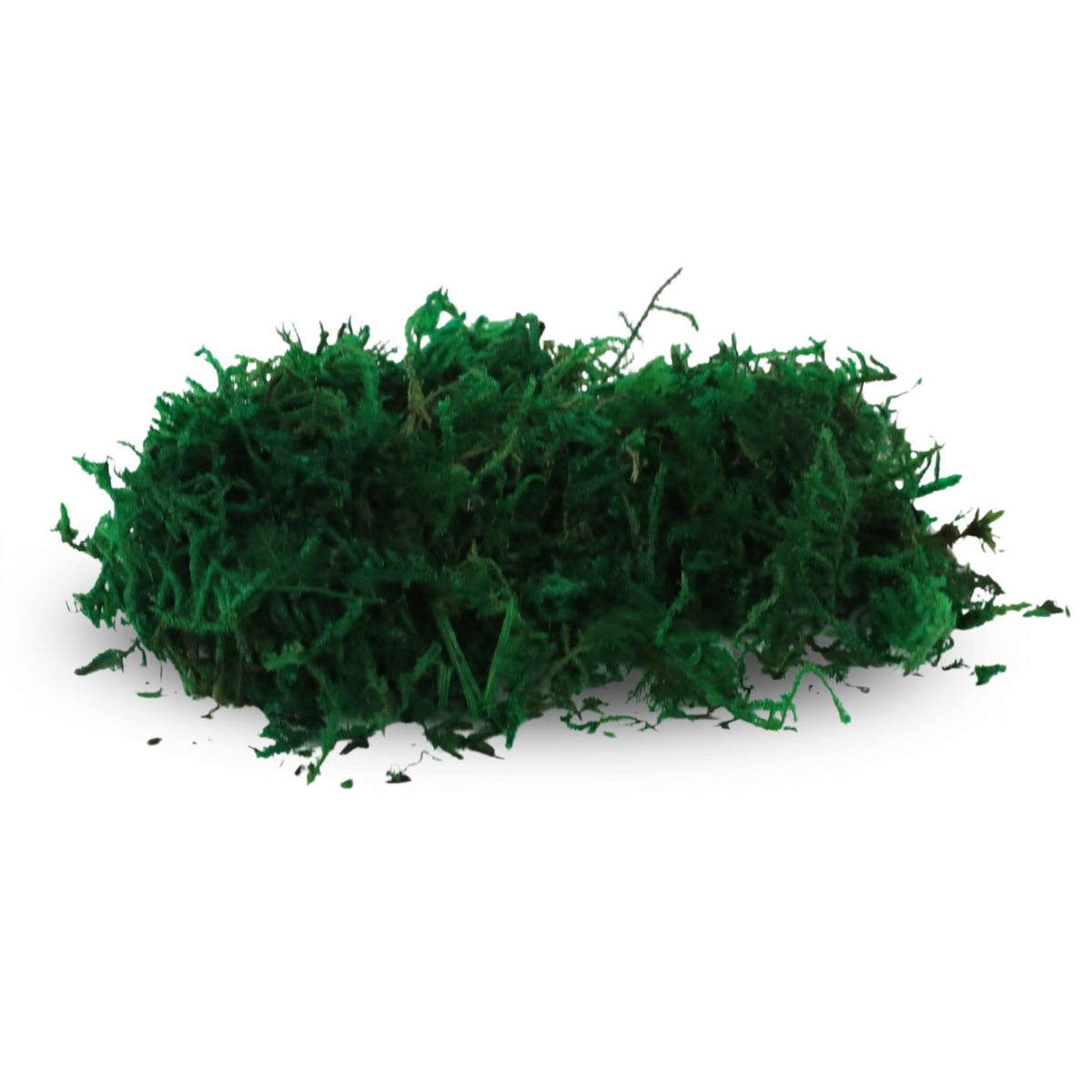 Premium Preserved Forest Moss - Mossify