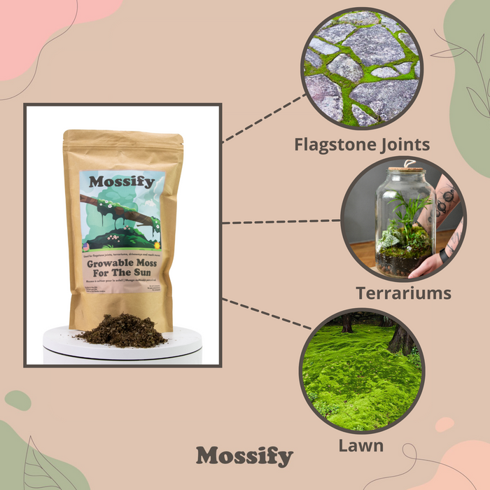 Moss Grower Pack - For the Sun