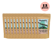 Value Pack - Growable Moss for the Sun - Mossify