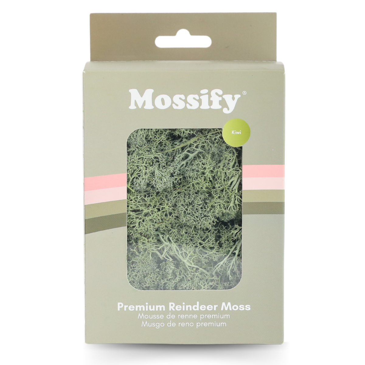 Premium Preserved Reindeer Moss - Mossify