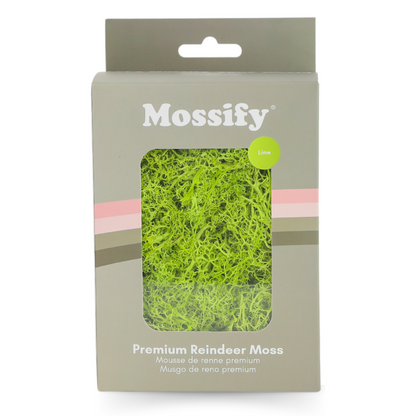 Premium Preserved Reindeer Moss - Mossify