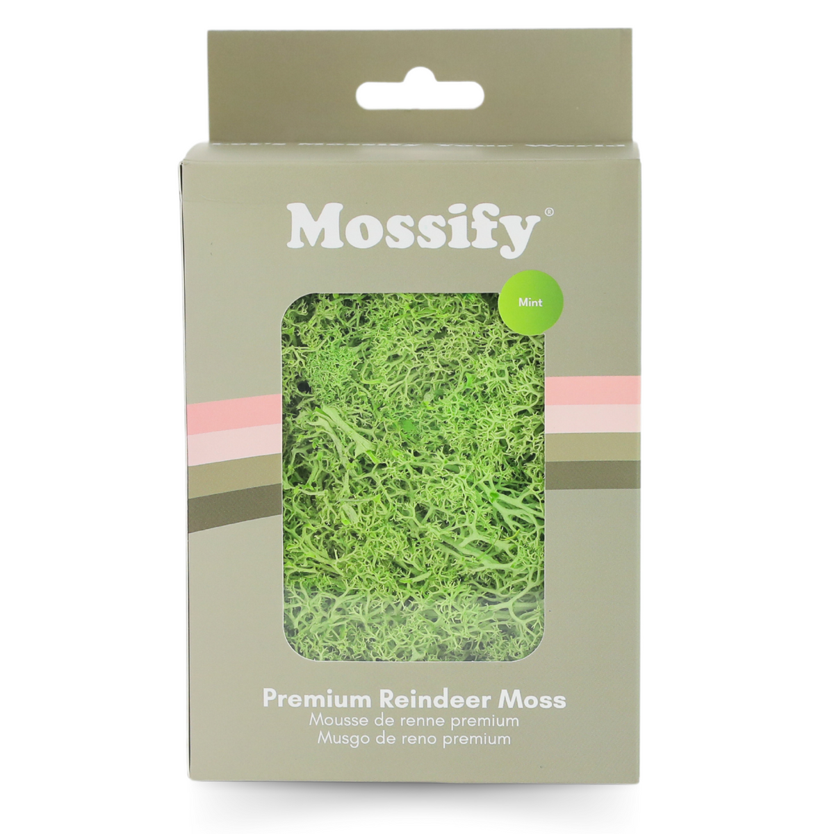 Premium Preserved Reindeer Moss - Mossify