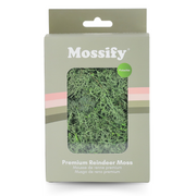 Premium Preserved Reindeer Moss - Mossify