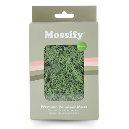 Premium Preserved Reindeer Moss - Mossify