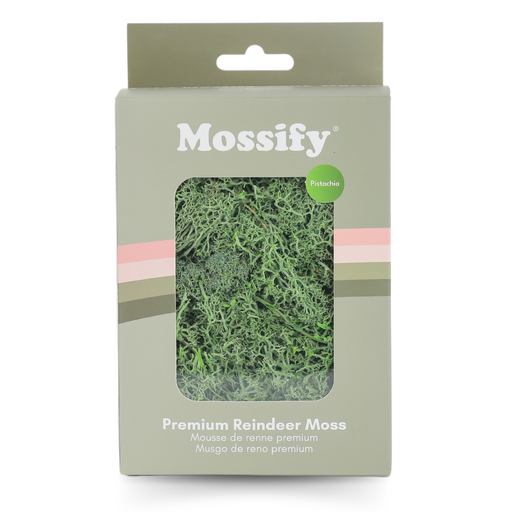 Premium Preserved Reindeer Moss - Mossify