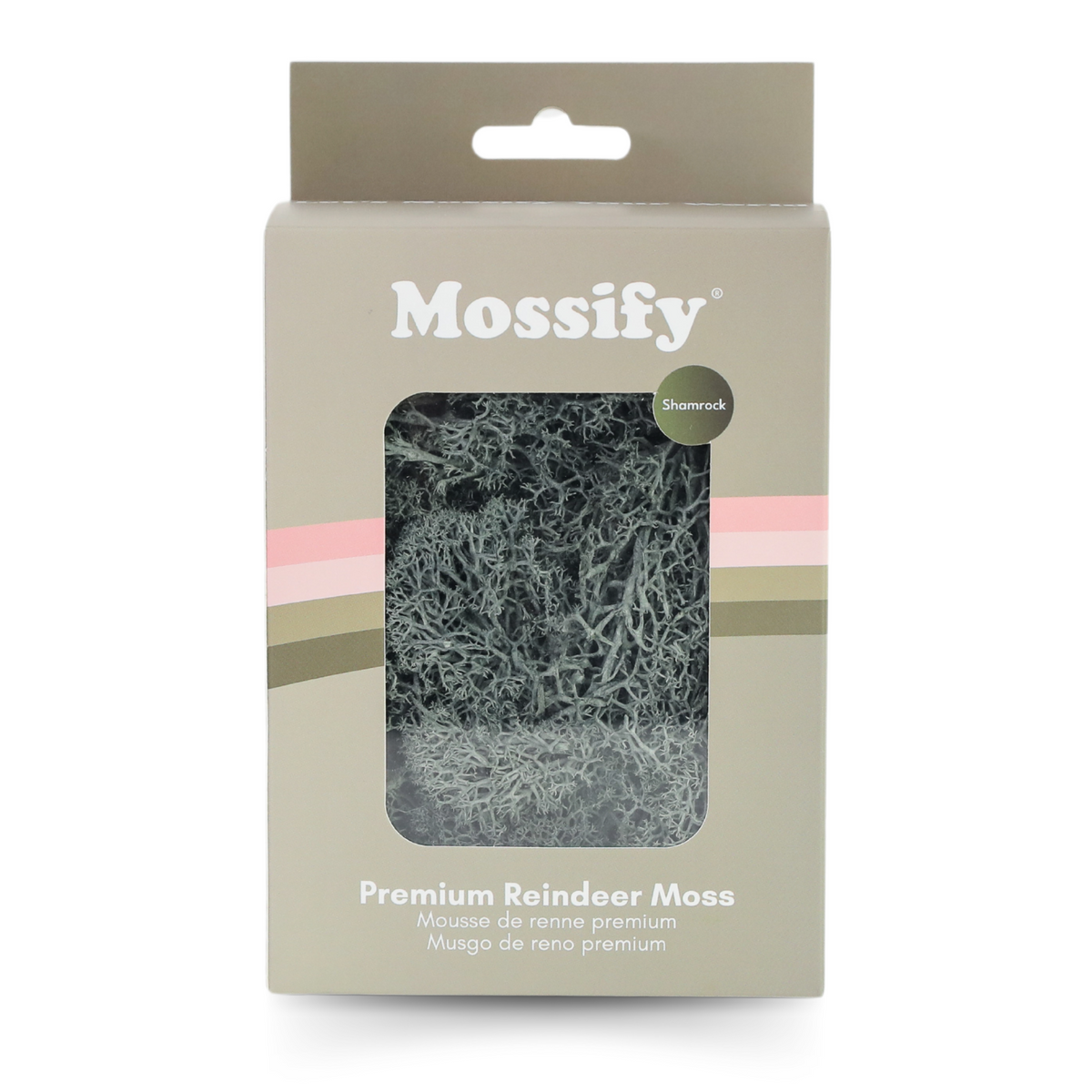 Premium Preserved Reindeer Moss - Mossify