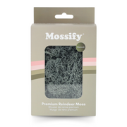 Premium Preserved Reindeer Moss - Mossify