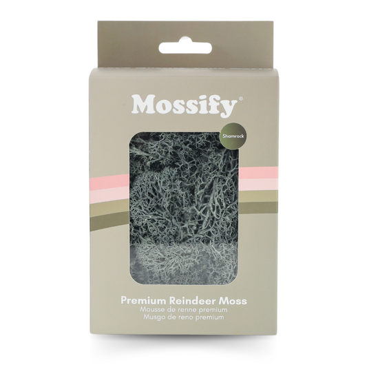Premium Preserved Reindeer Moss - Mossify
