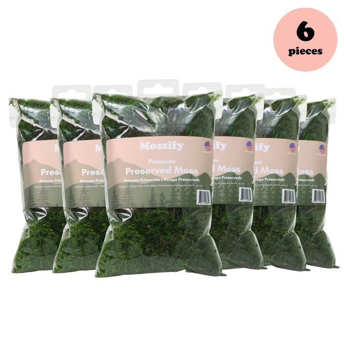 6 Pack - Premium Preserved Forest Moss